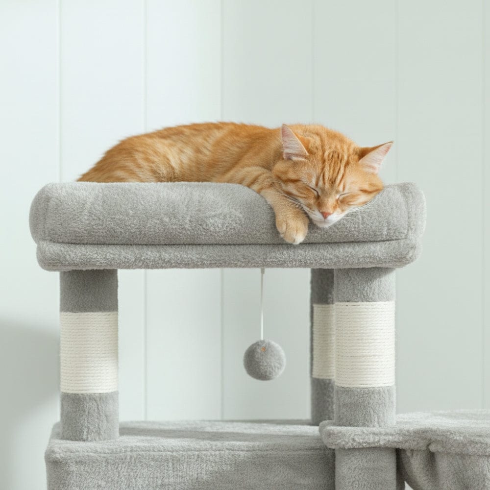 Arbre à chat - Simple