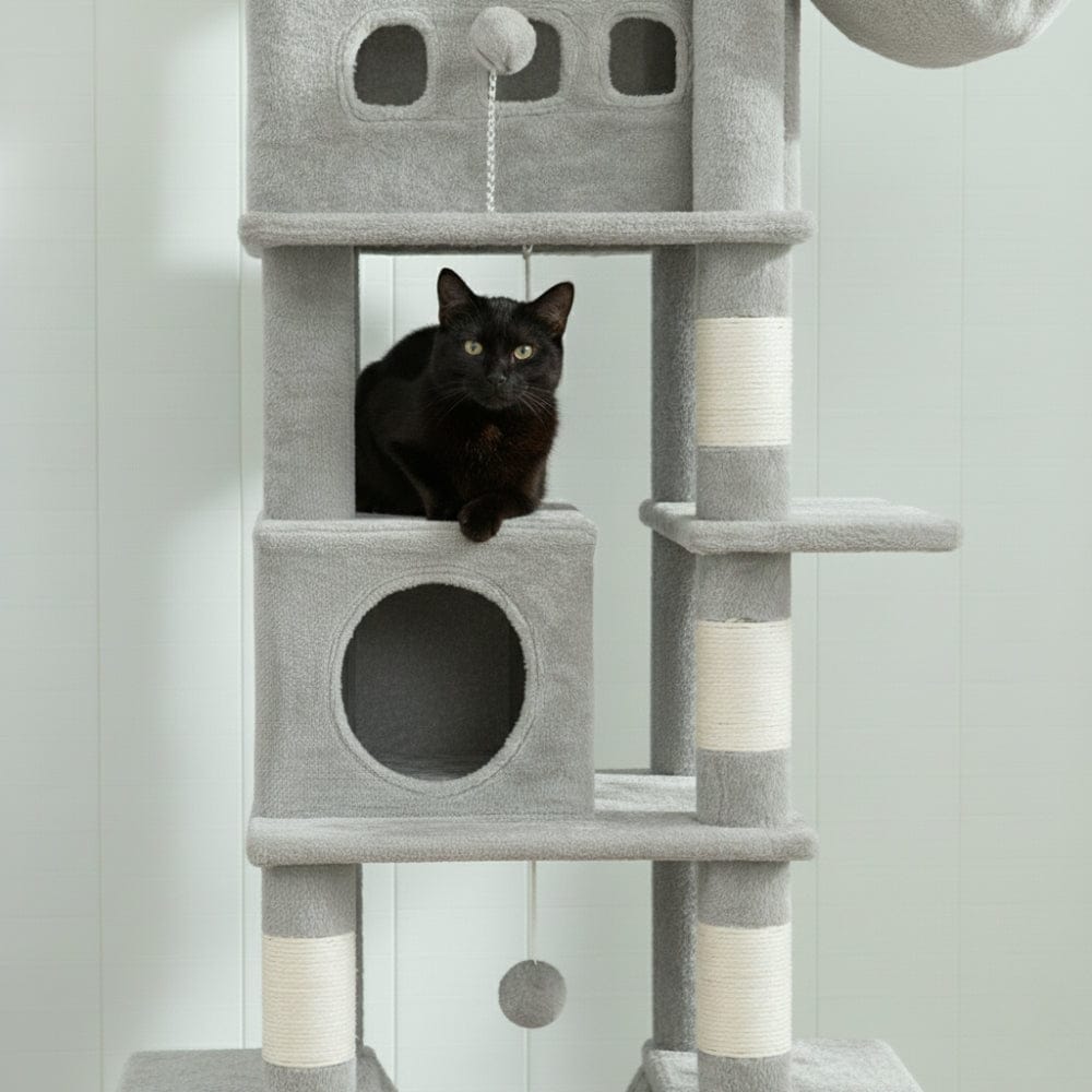 Arbre à chat - Simple