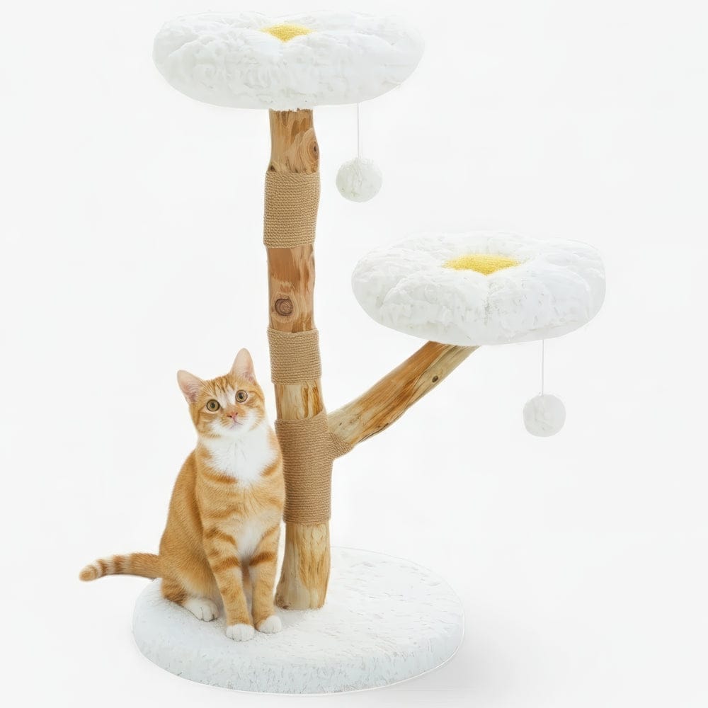 Arbre à chat - Solaire