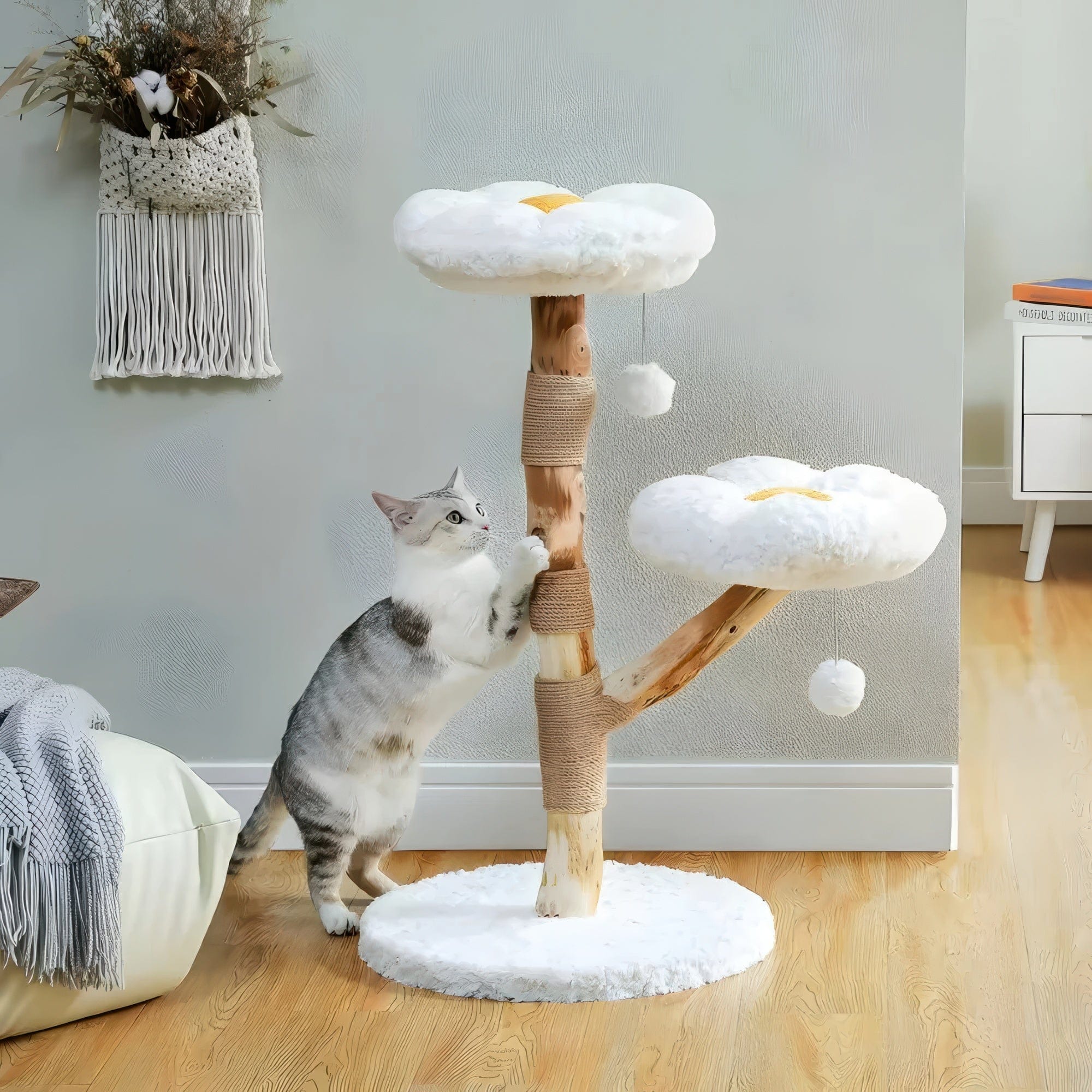 Arbre à chat - Solaire