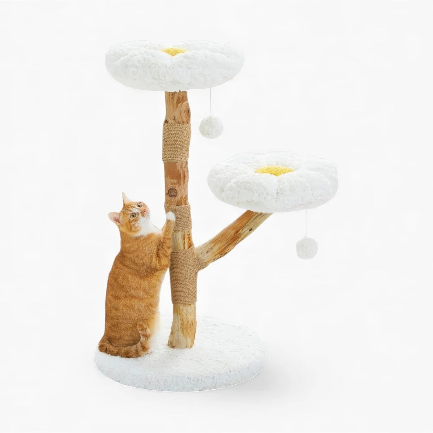 Arbre à chat - Solaire