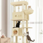 Arbre à chat - Solide