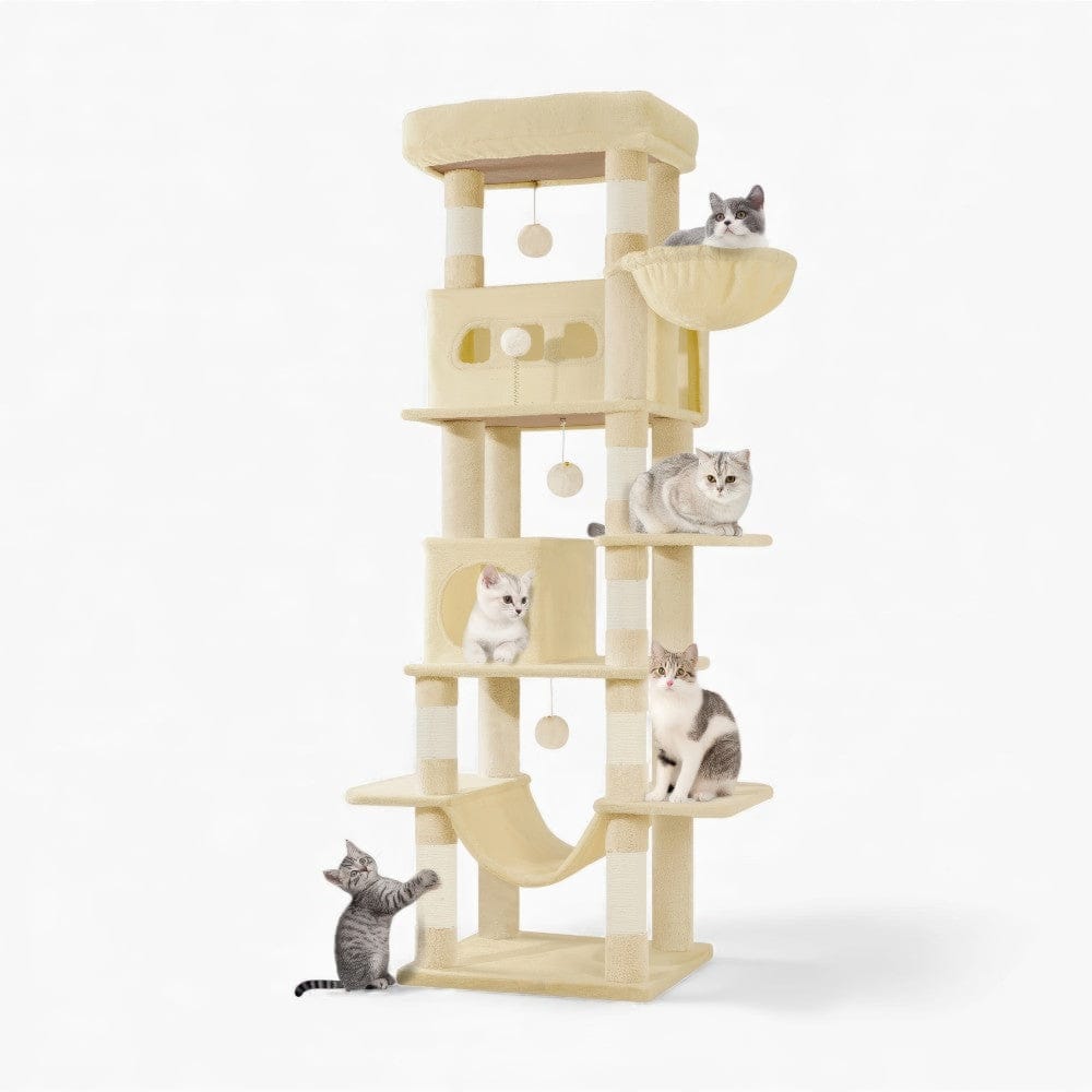 Arbre à chat - Solide