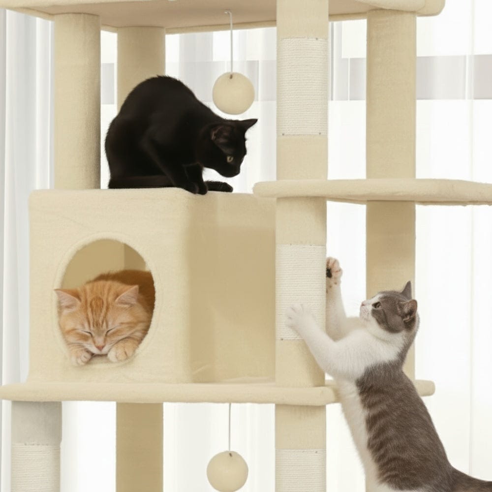 Arbre à chat - Solide