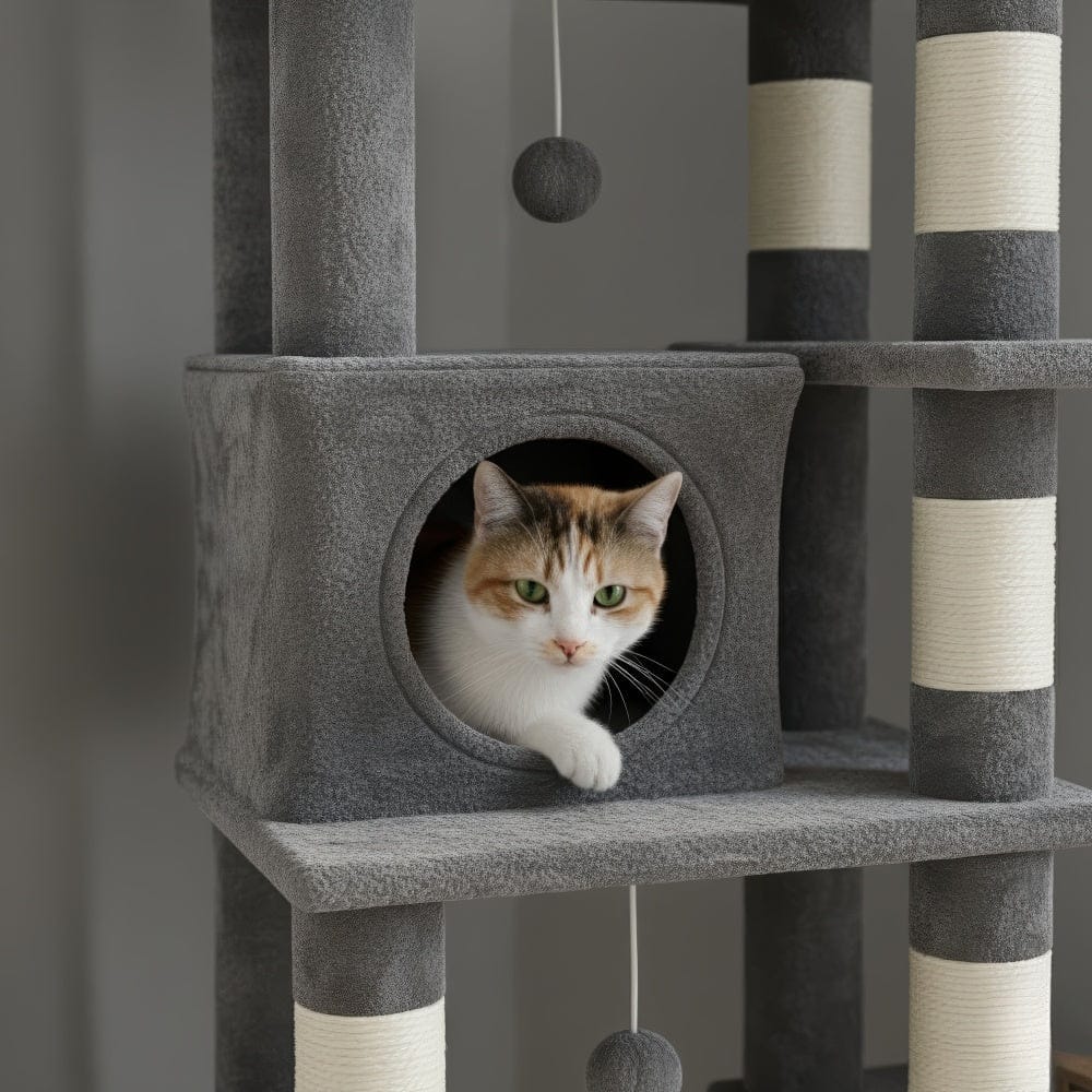 Arbre à chat - Stable