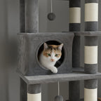 Arbre à chat - Stable