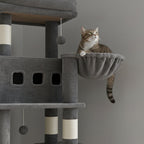 Arbre à chat - Stable