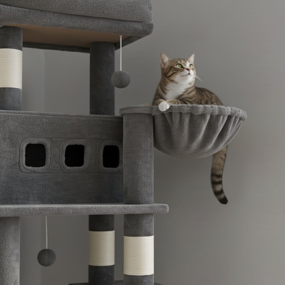 Arbre à chat - Stable