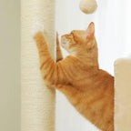 Arbre à chat - Taupe