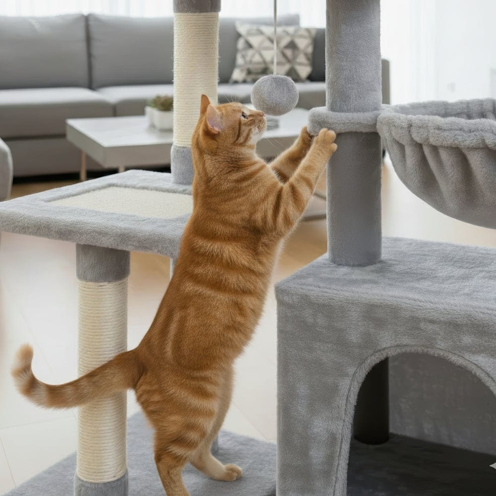 Arbre à chat - Tendance