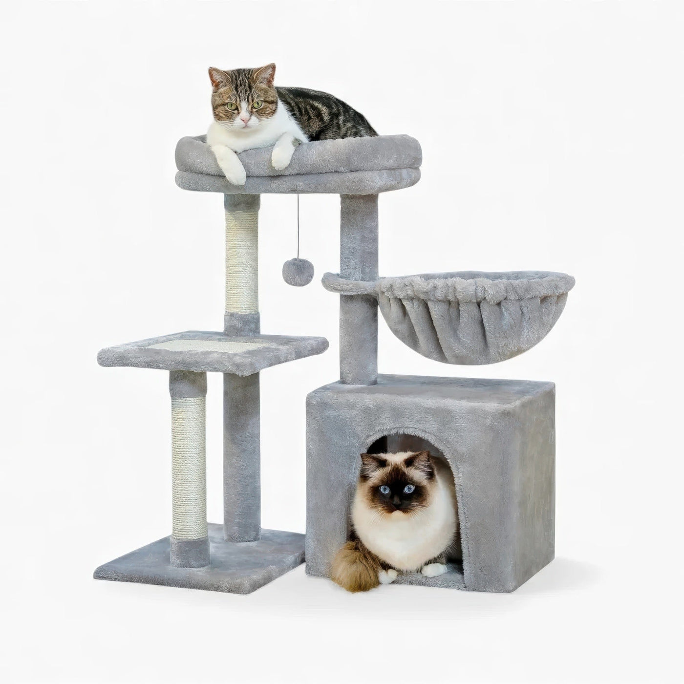 Arbre à chat - Tendance