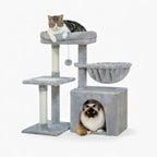 Arbre à chat - Tendance