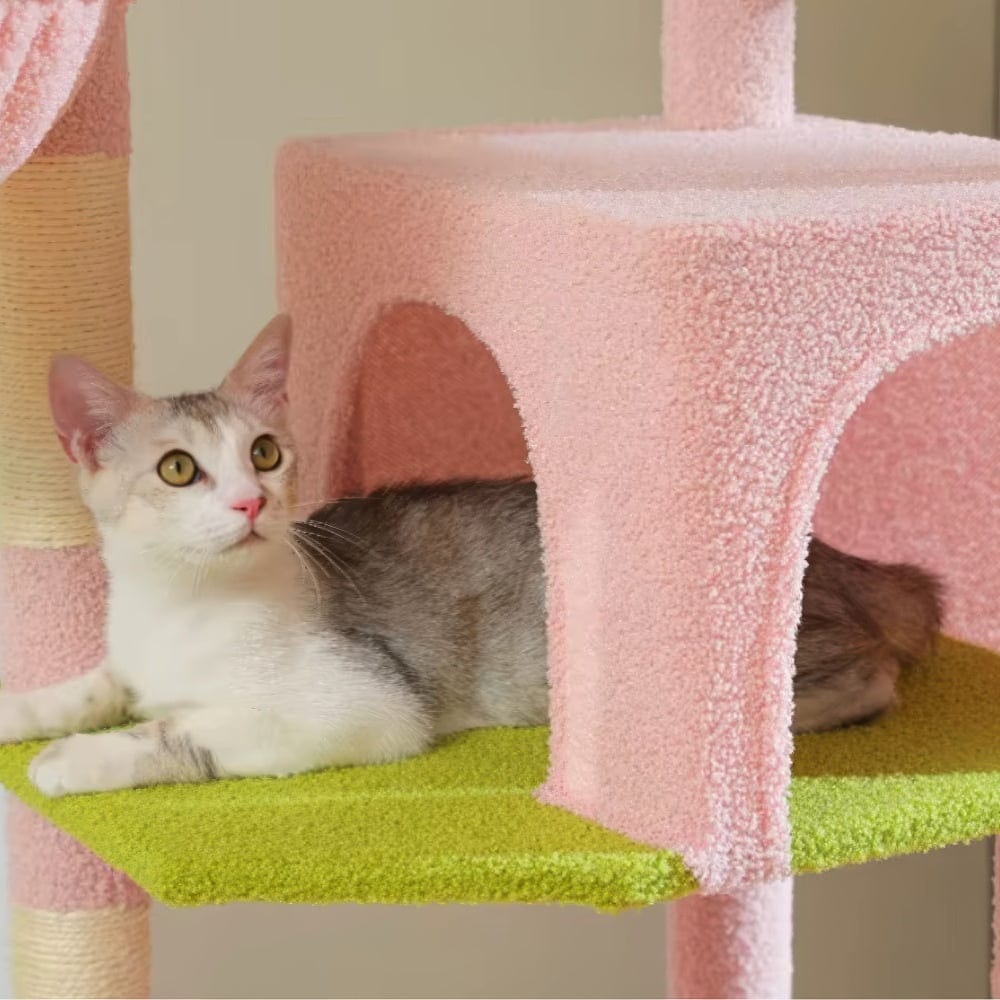 Arbre à chat - Tour