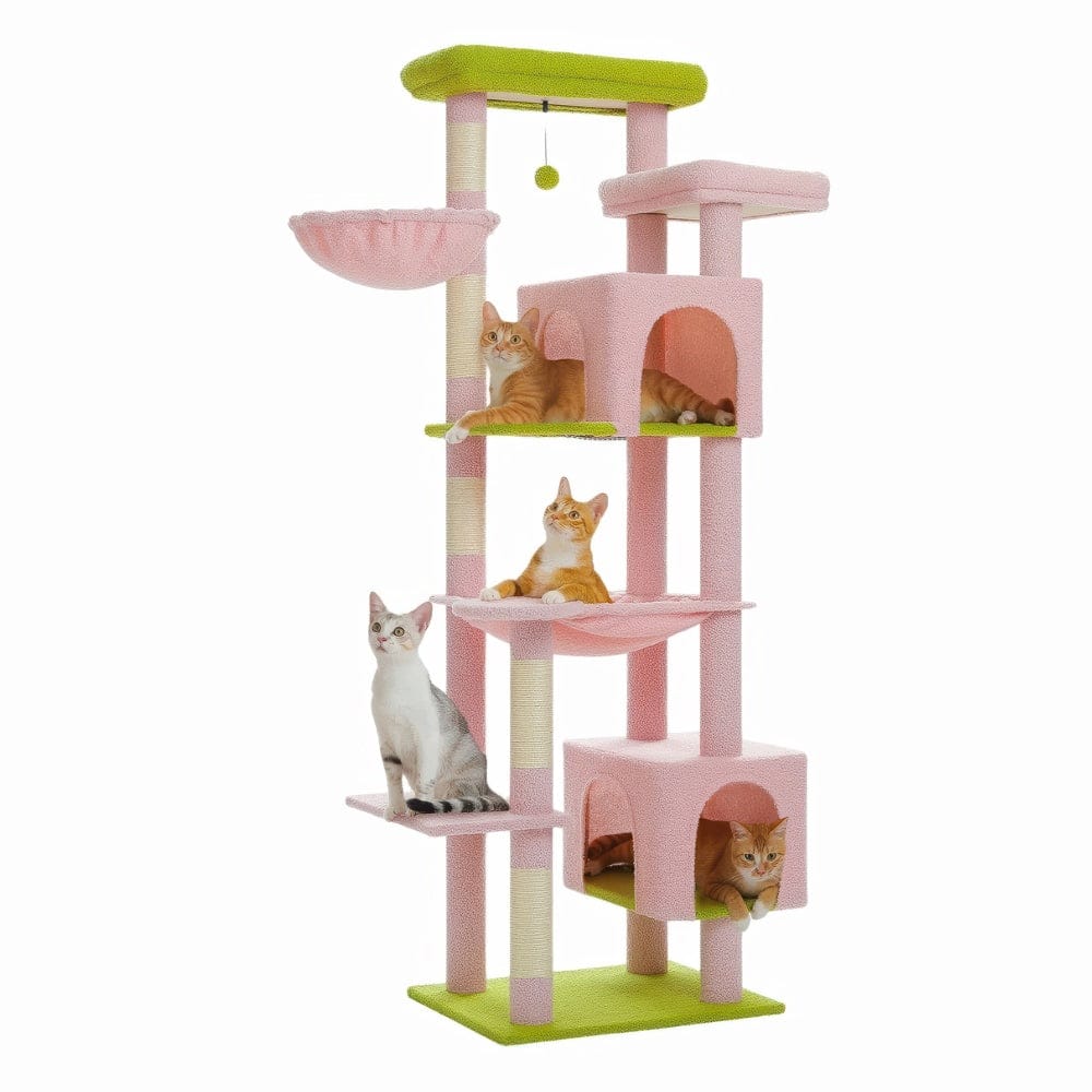 Arbre à chat - Tour