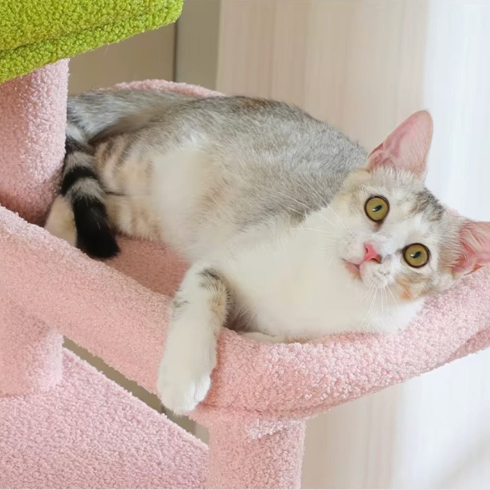 Arbre à chat - Tour