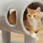 Arbre à chat - Tube