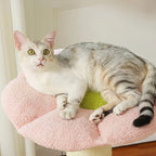 Arbre à chat - Tulipe