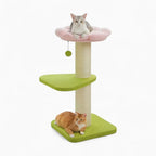 Arbre à chat - Tulipe