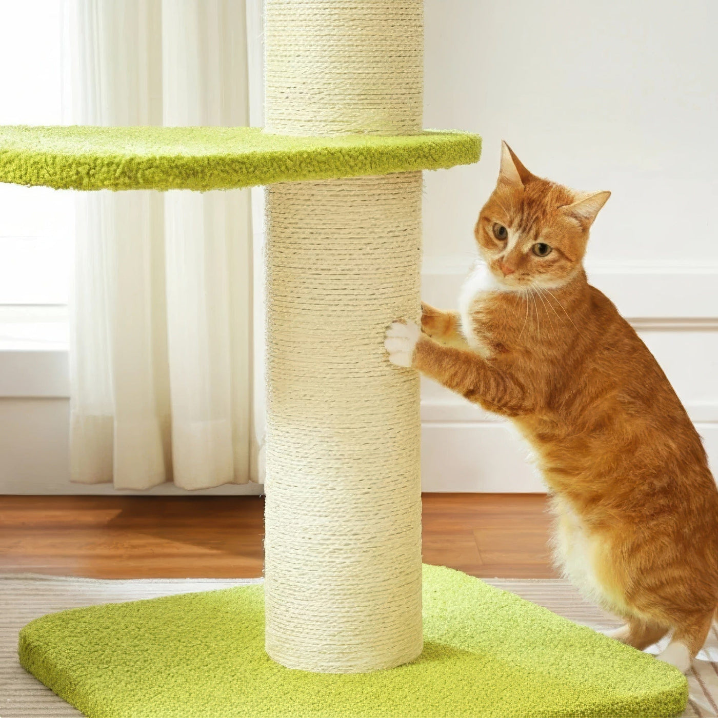 Arbre à chat - Tulipe