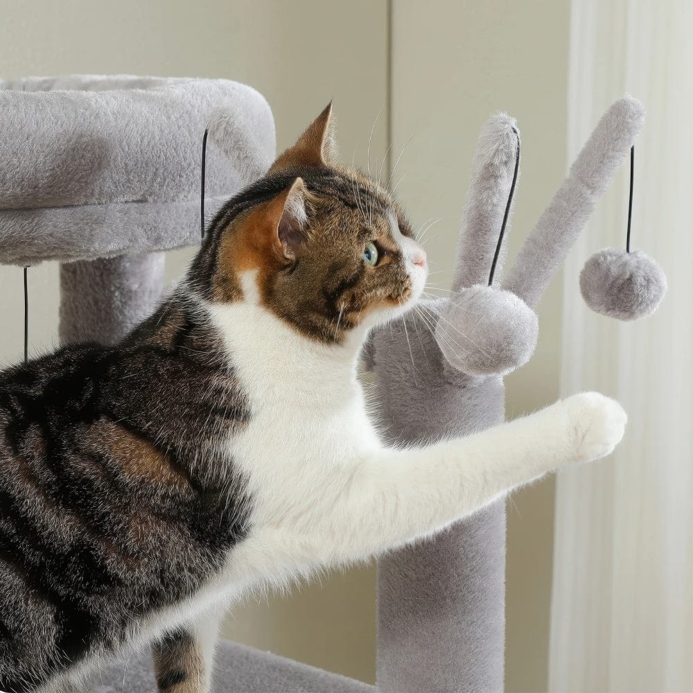 Arbre à chat - Velours