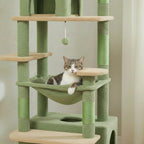 Arbre à chat - Verdâtre