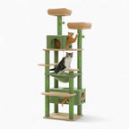 Arbre à chat - Verdâtre