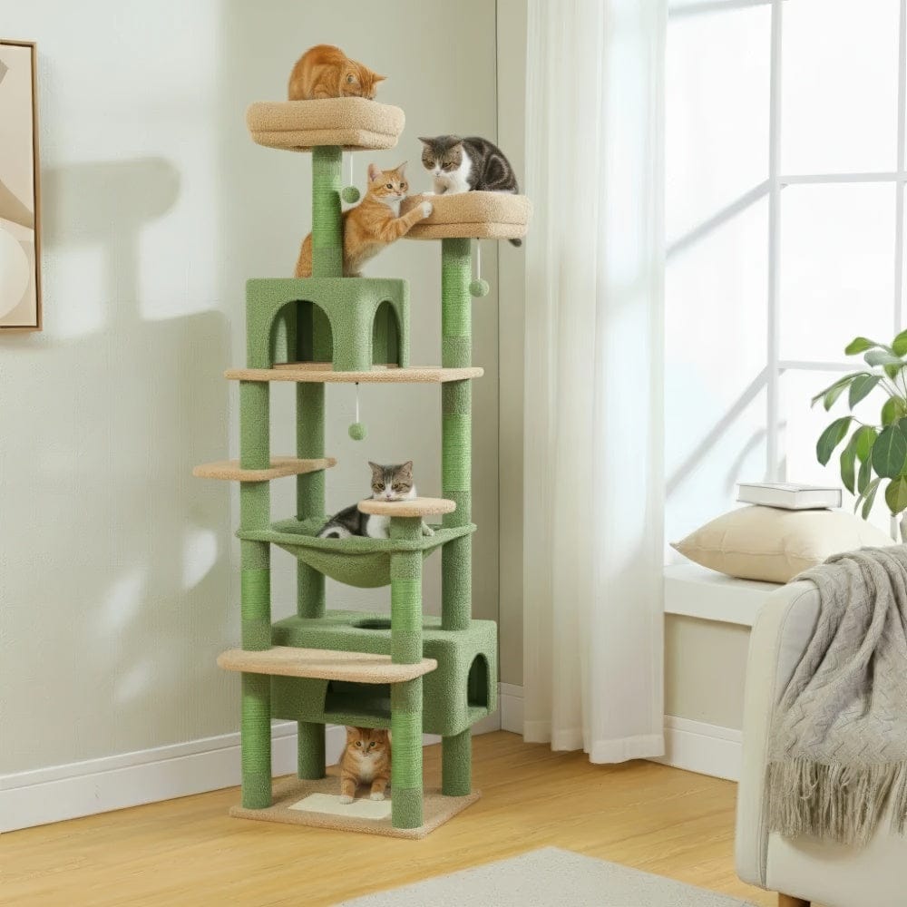 Arbre à chat - Verdâtre