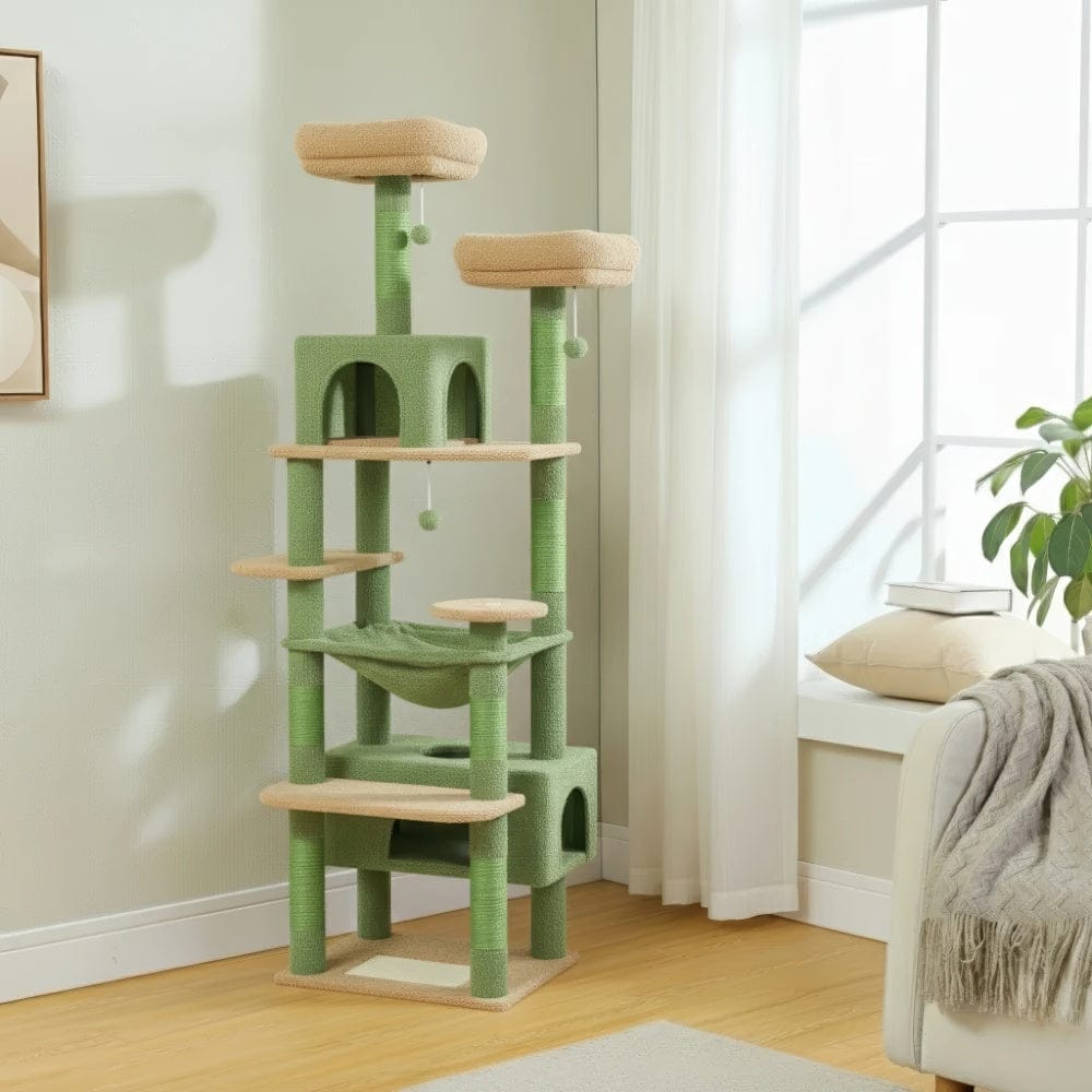 Arbre à chat - Verdâtre