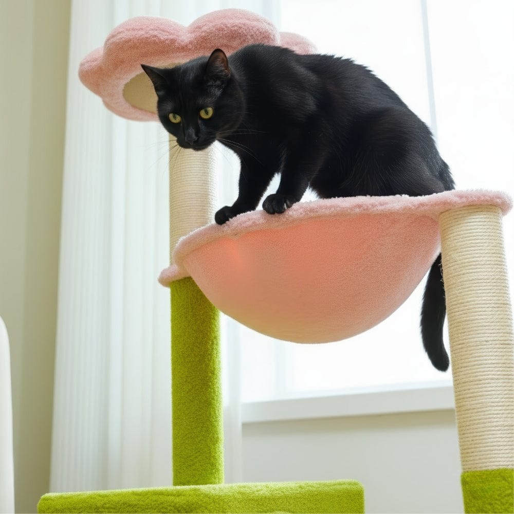 Arbre à chat - Vert clair