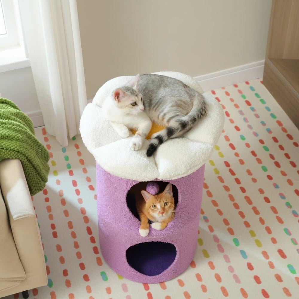 Arbre à chat - Violet