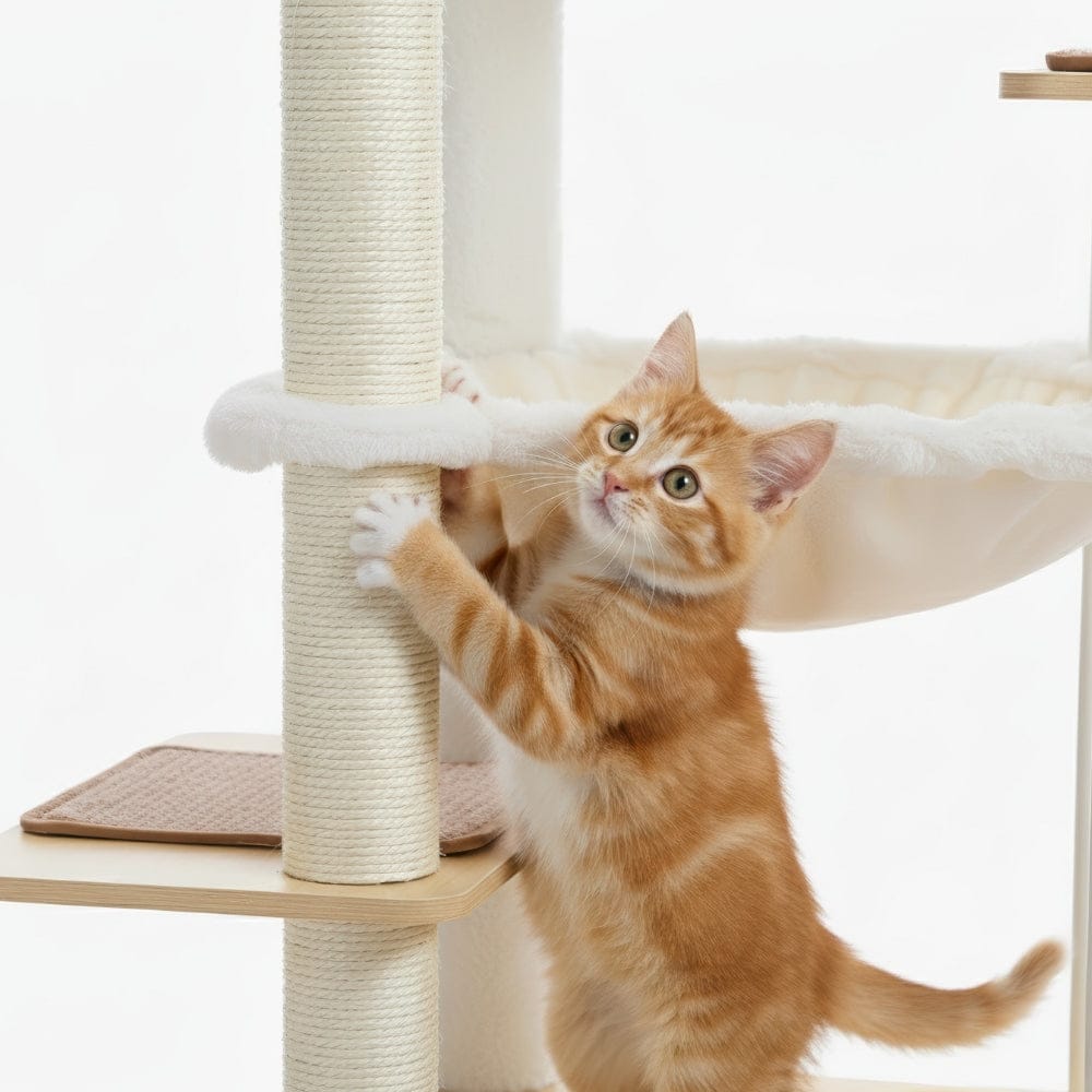 Arbre à chat XXL beige