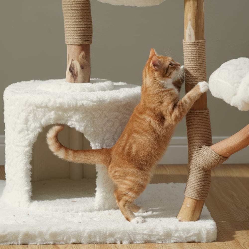 Arbre à chat xxl en bois