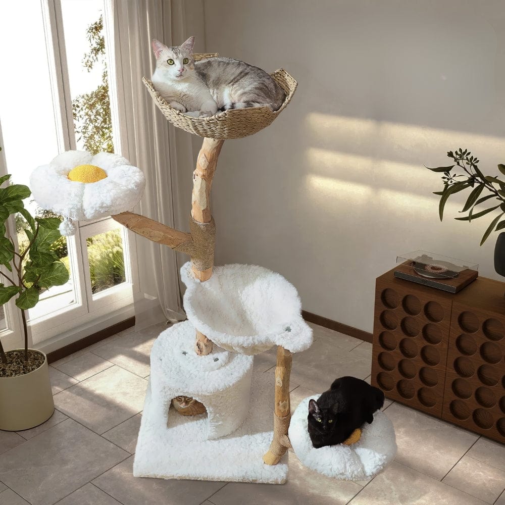 Arbre à chat xxl en bois