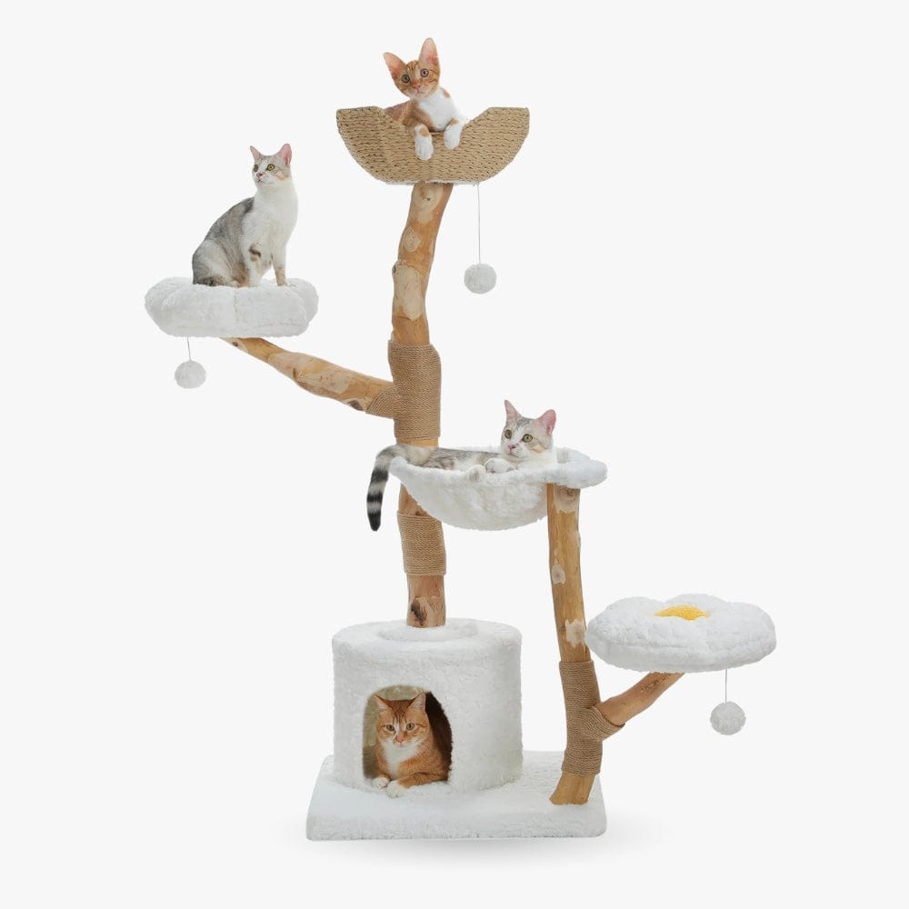 Arbre à chat xxl en bois