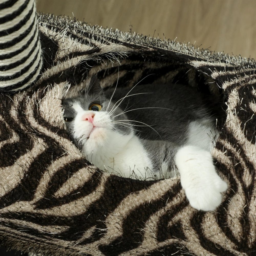 Arbre à chat - Zèbre