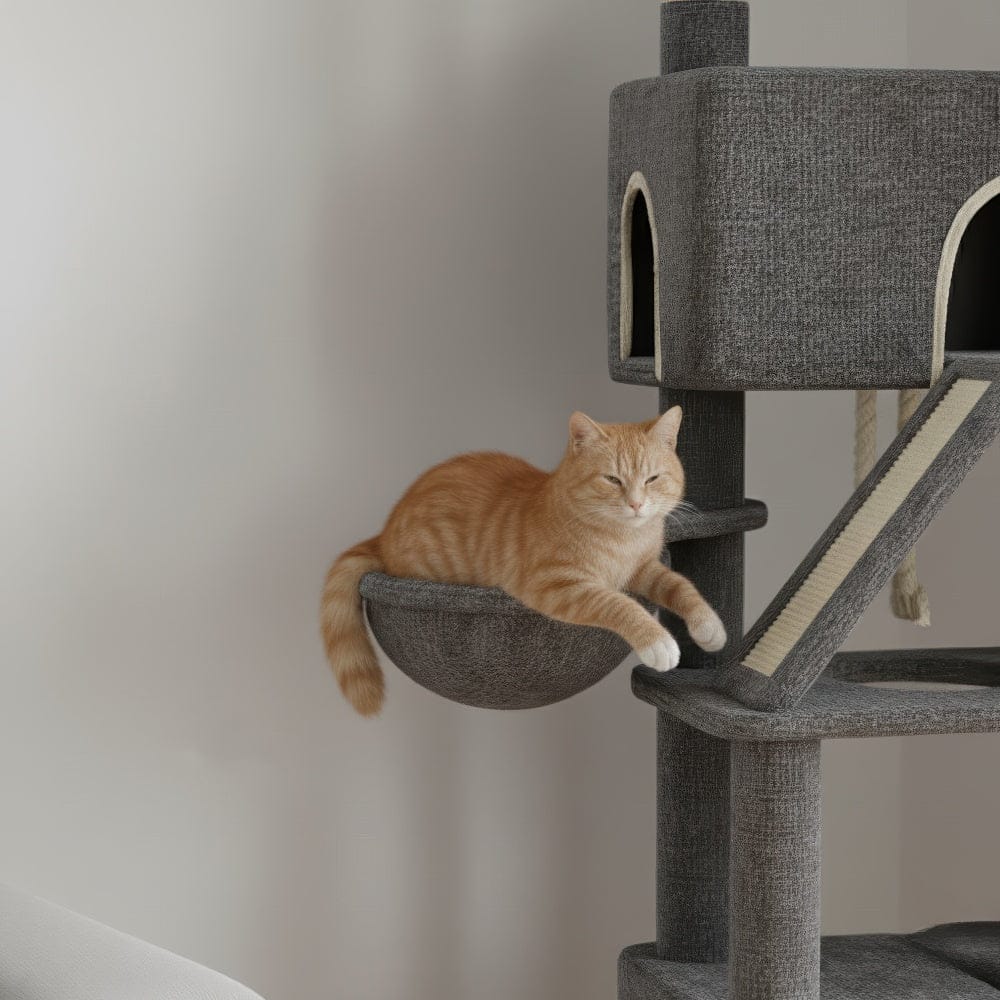 Arbre à chat - Maison